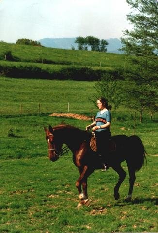 1931089_35219439002_8456_n