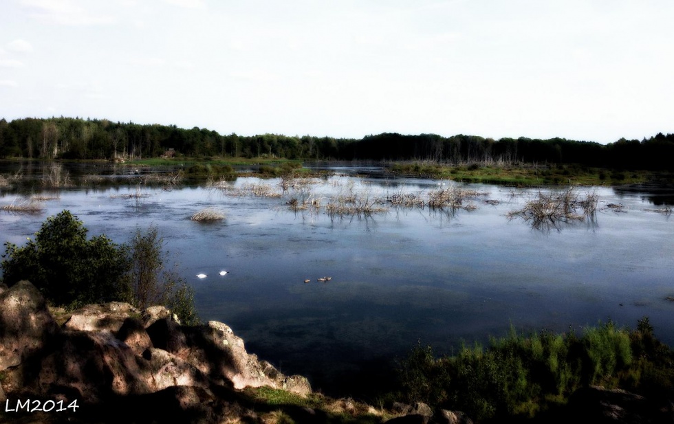 rosenkällasjön - Kopia