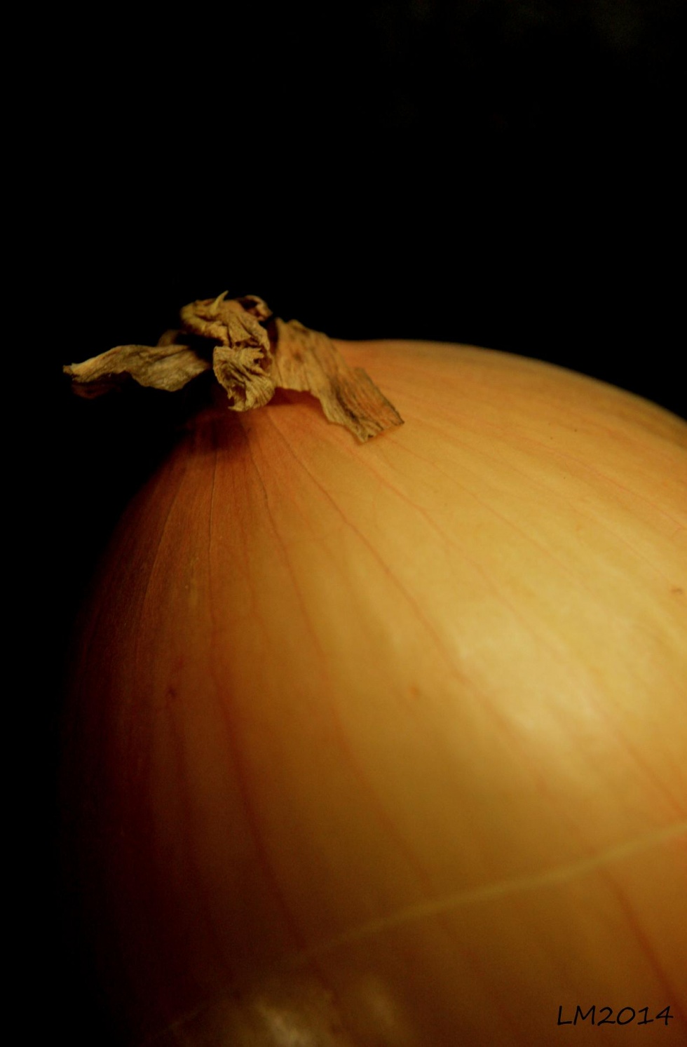 2014_IMG_8374 - Kopia