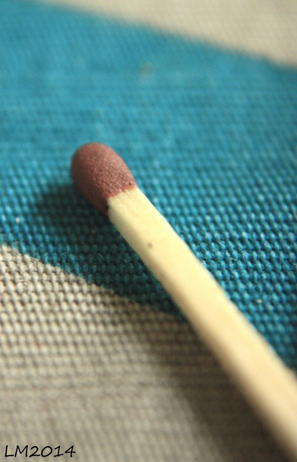 2014_IMG_8496 - Kopia