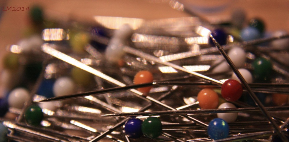 2014_IMG_8509 - Kopia