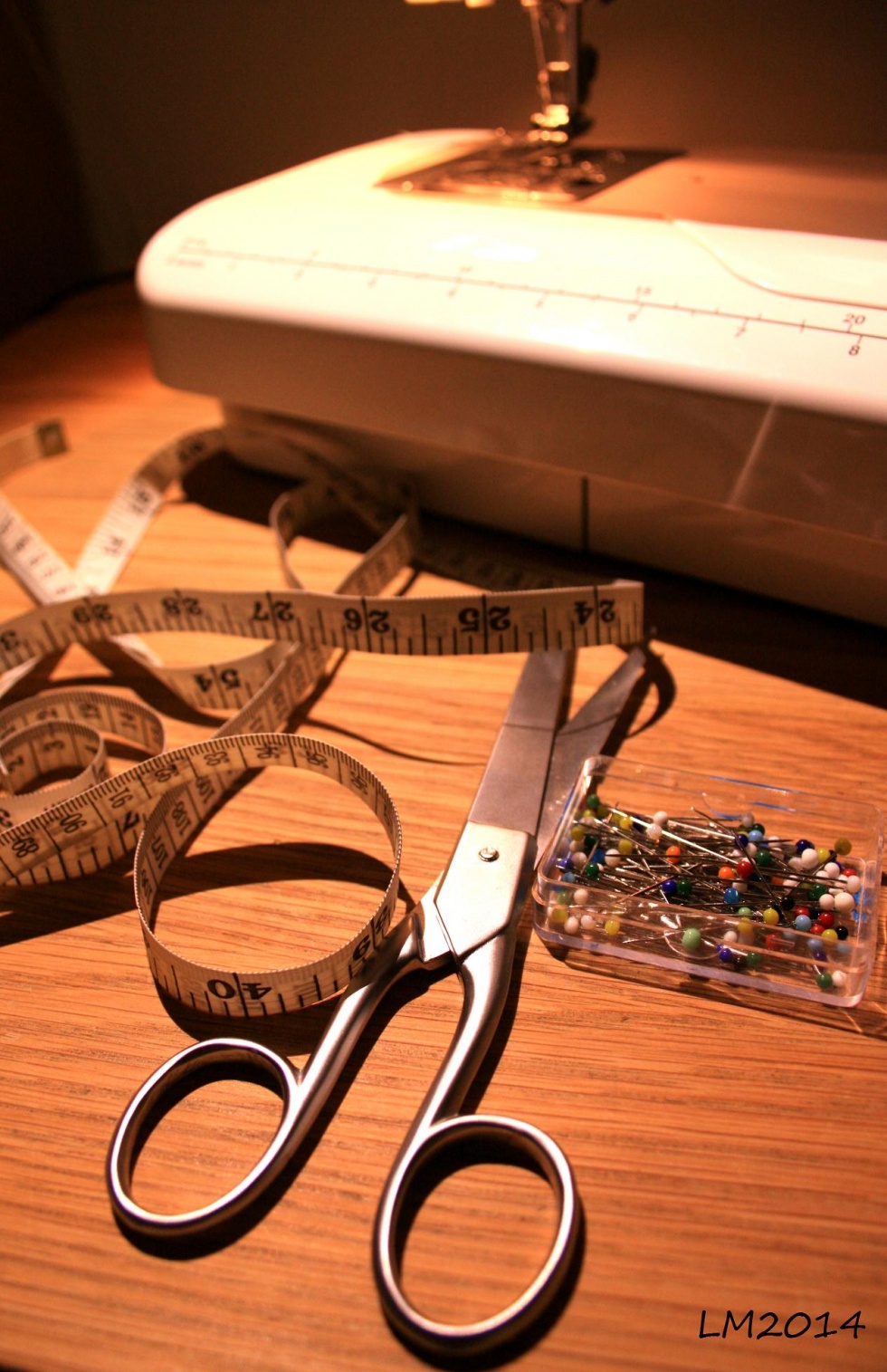 2014_IMG_8512 - Kopia