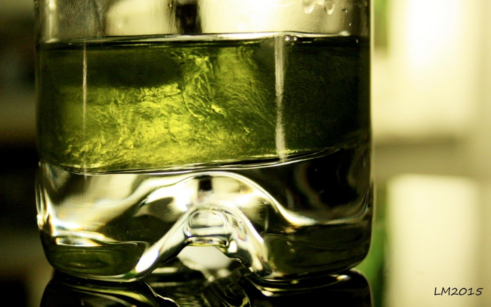 2015_IMG_9081 - Kopia