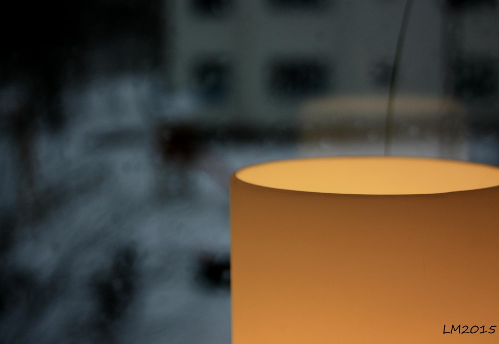 2015_IMG_9099 - Kopia