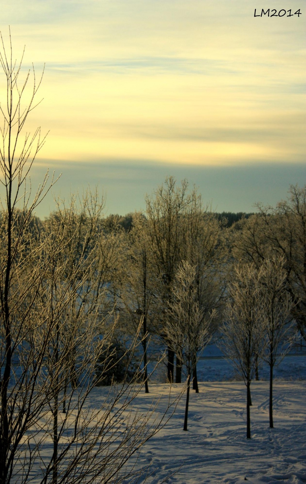 V04_2014_IMG_8636 - Kopia