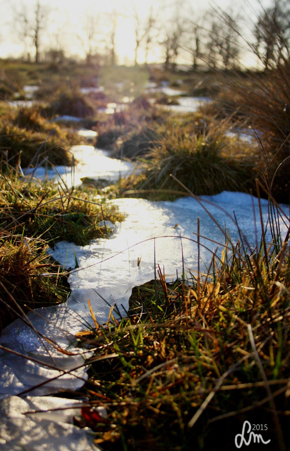 2015_IMG_9234 - Kopia