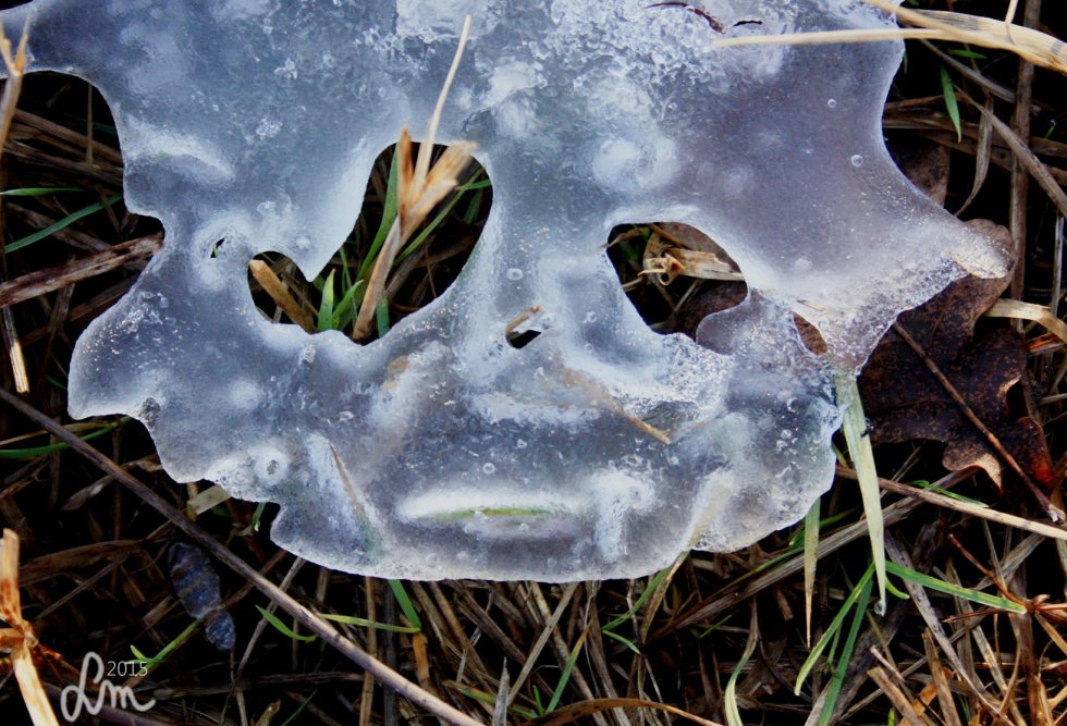 2015_IMG_9235 - Kopia