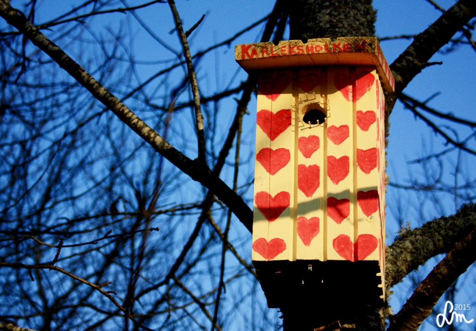 2015_IMG_9306 - Kopia