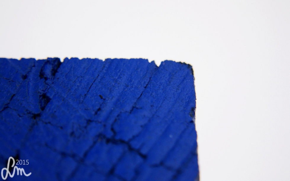 V09_2015_IMG_9181 - Kopia