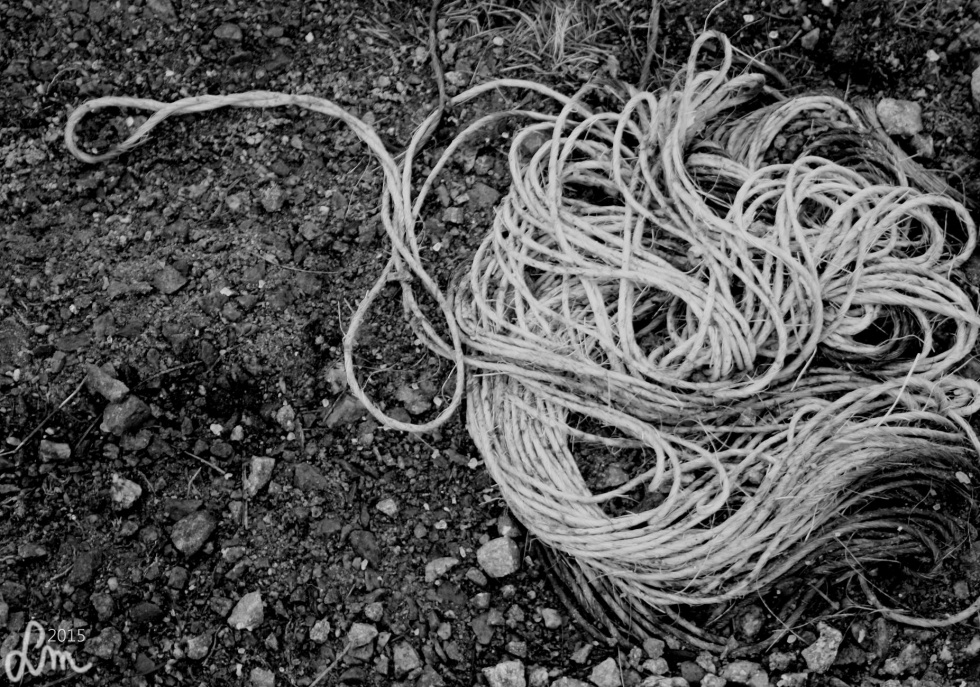 2015_IMG_9202 - Kopia