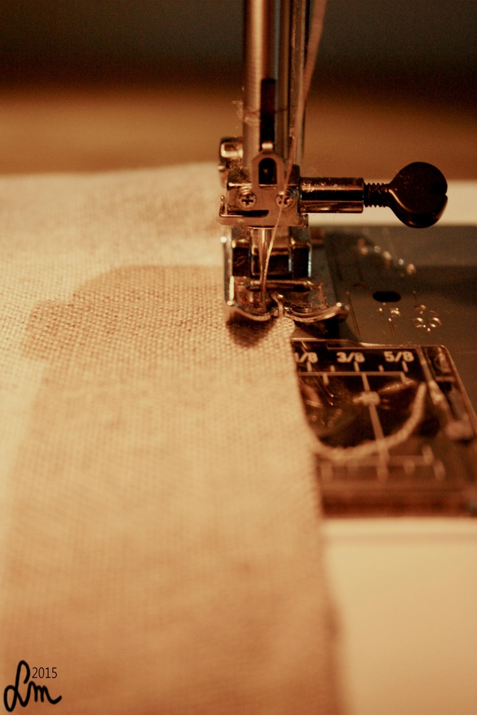 2015_IMG_9325 - Kopia