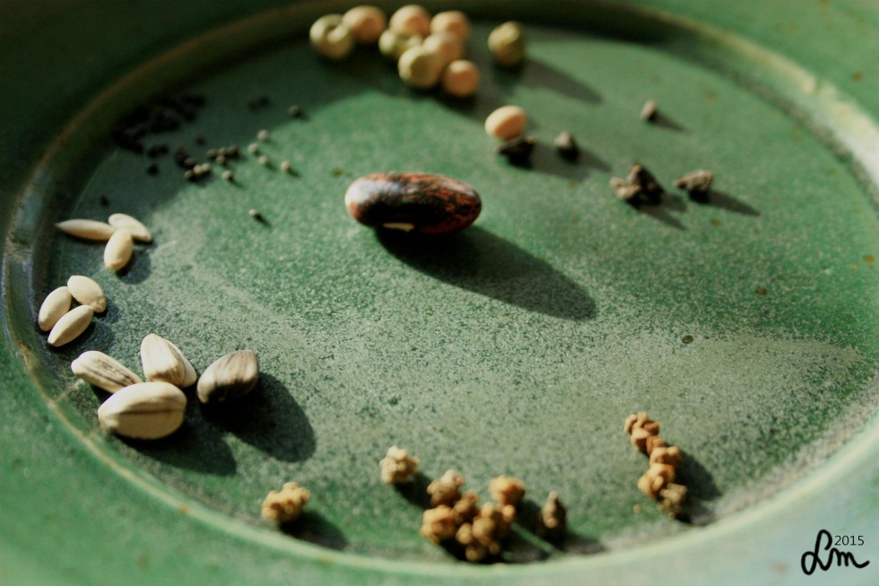 2015_IMG_9338 - Kopia