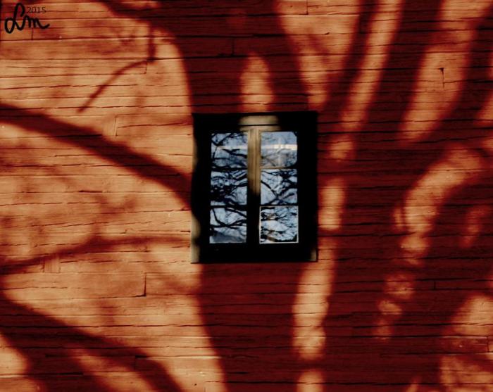 V14_2015_IMG_9317 - Kopia