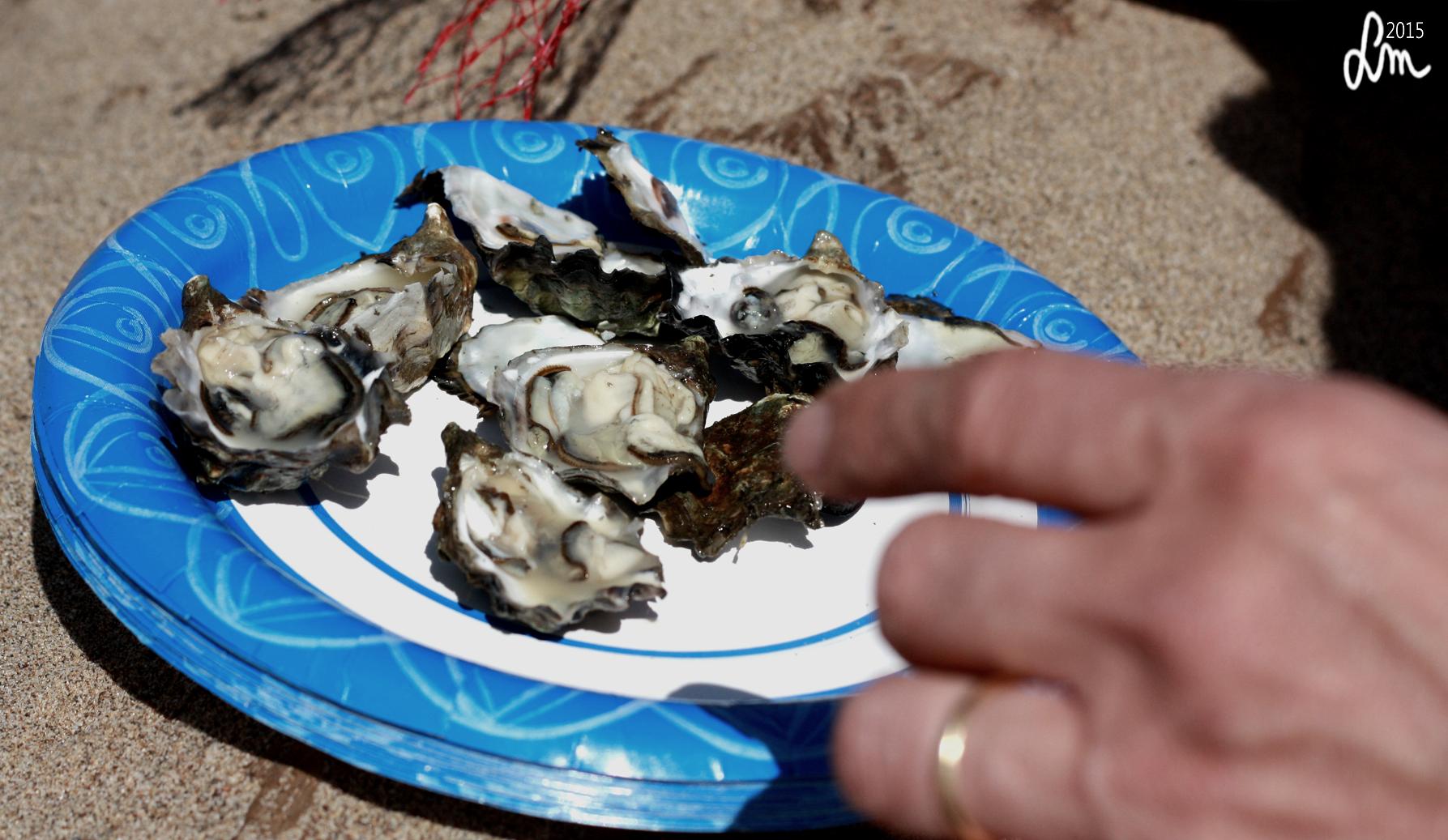 2015_IMG_9820 - Kopia