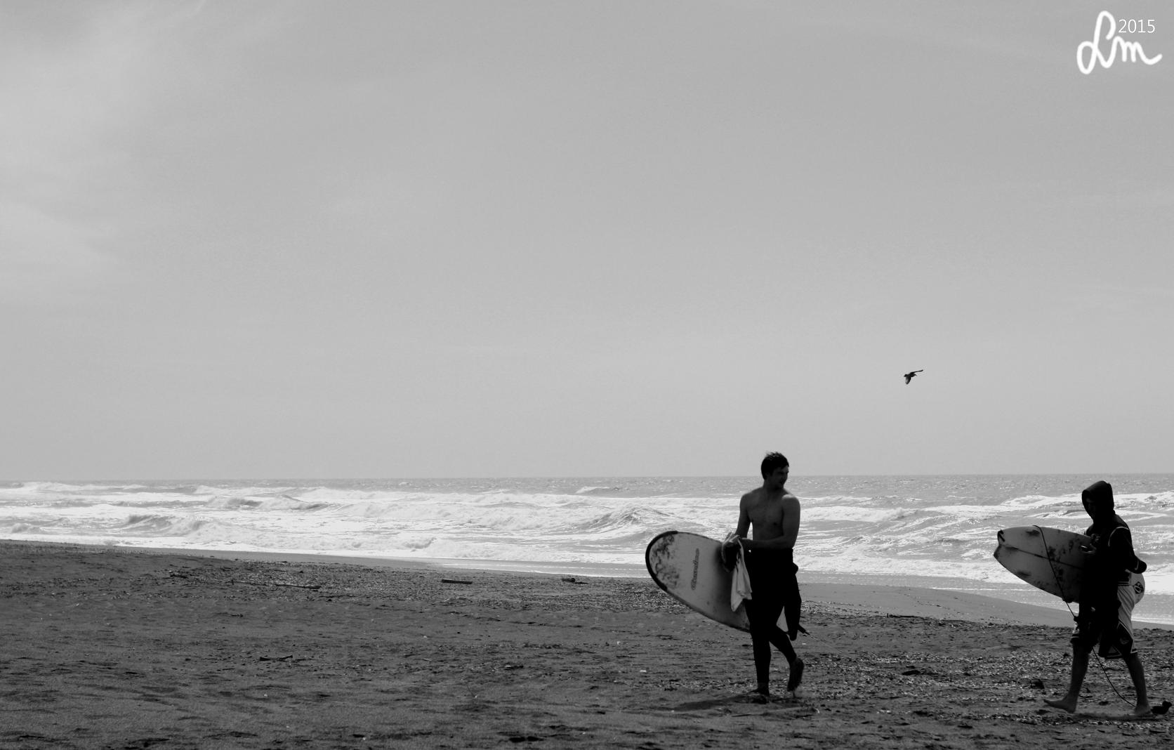 2015_IMG_9852 - Kopia