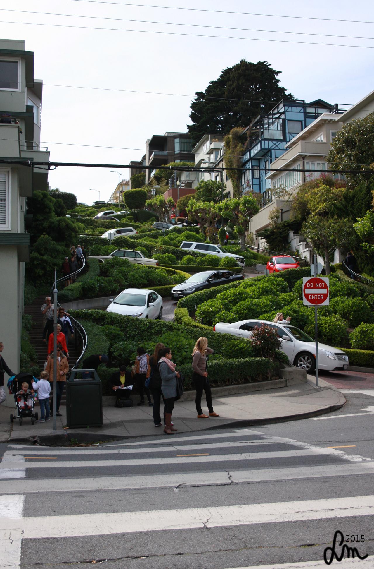 2015_IMG_9897 - Kopia