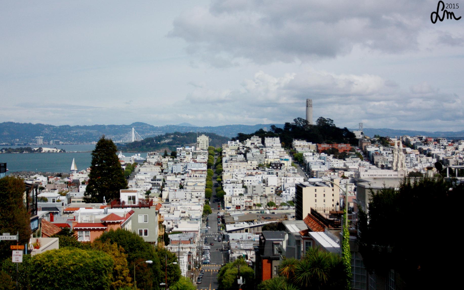 2015_IMG_9902F - Kopia