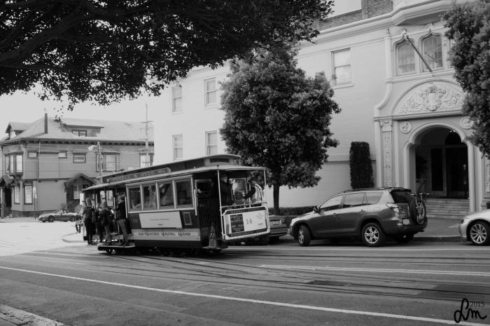 2015_IMG_9909 - Kopia