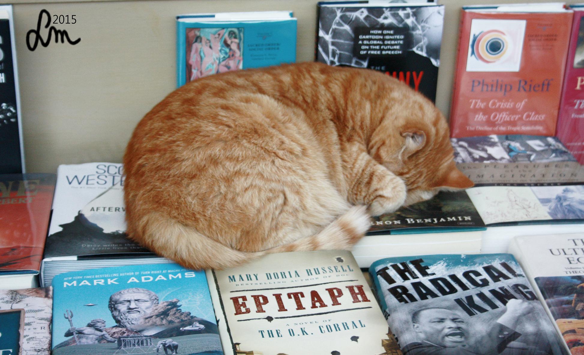 2015_IMG_9925 - Kopia