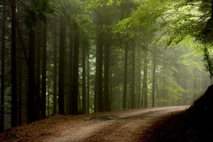 2015_IMG_0009 - Kopia