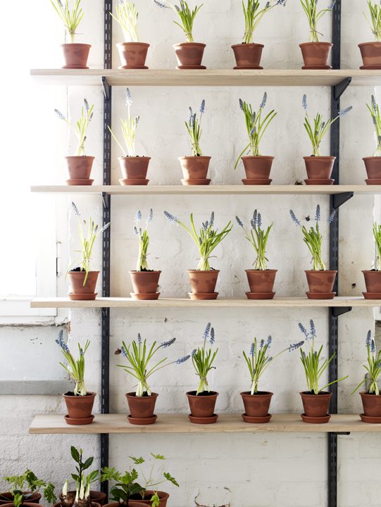 Norrgavel-Sparring-och-Hyllplan_2