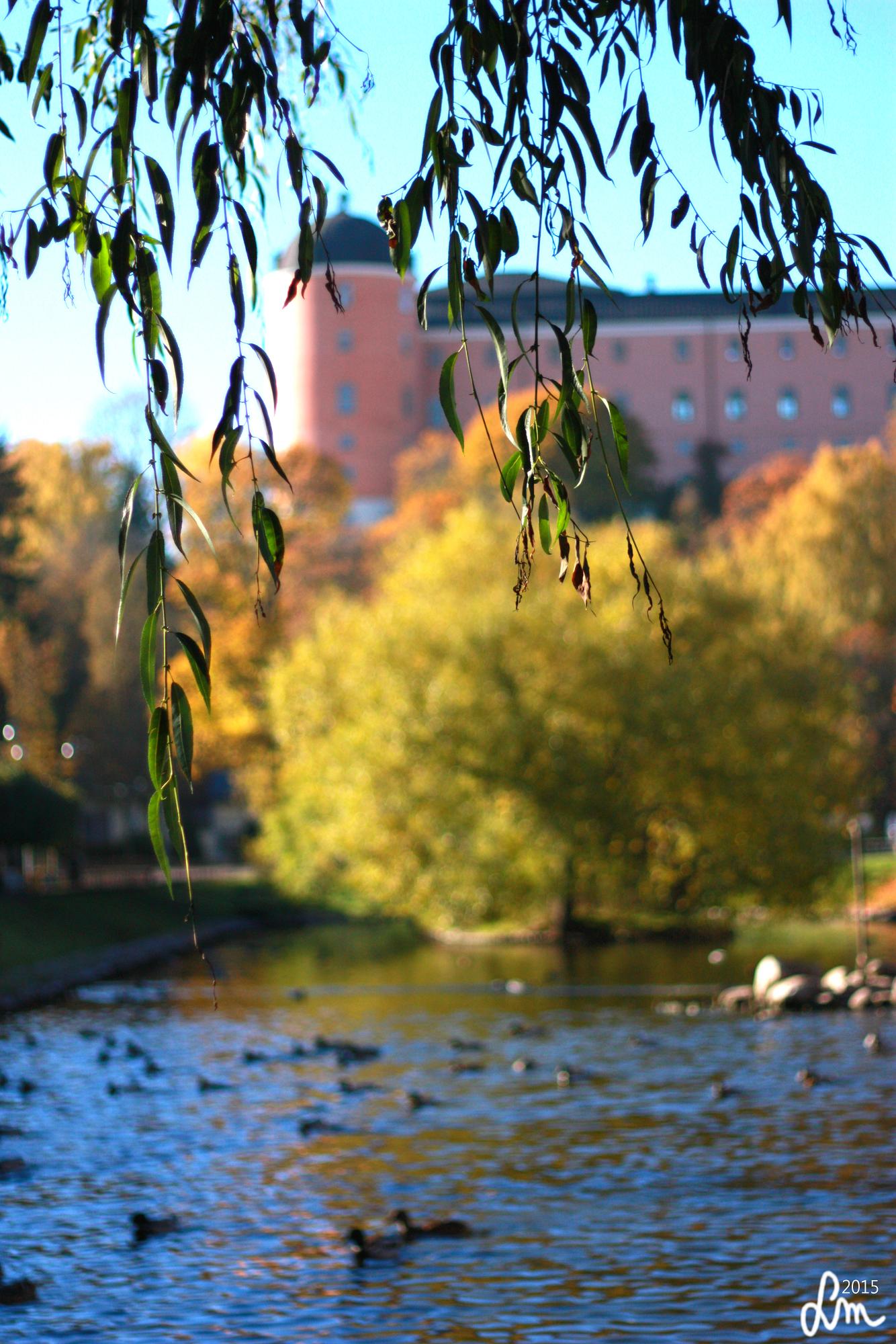 2015_IMG_0295 - Kopia