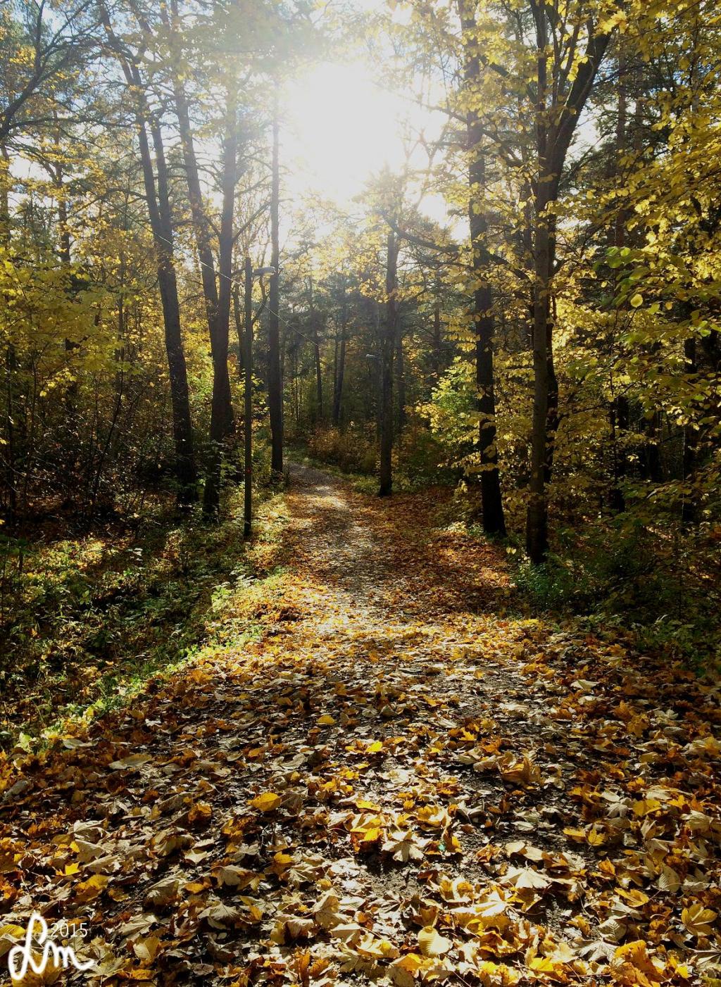 Running in a new&nbsp;city