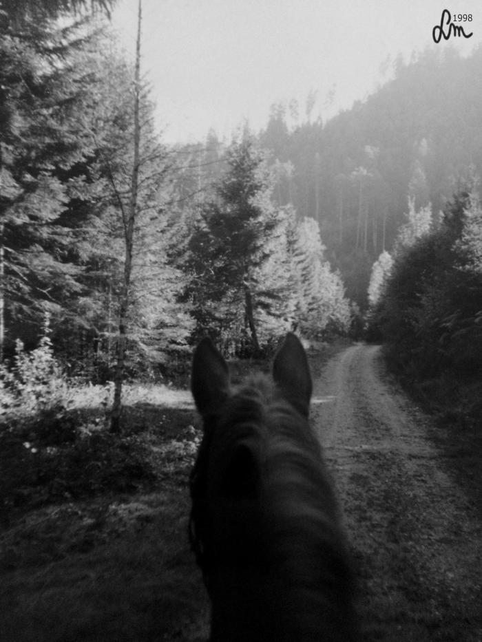 1998_Oreilles Vasy - Kopia