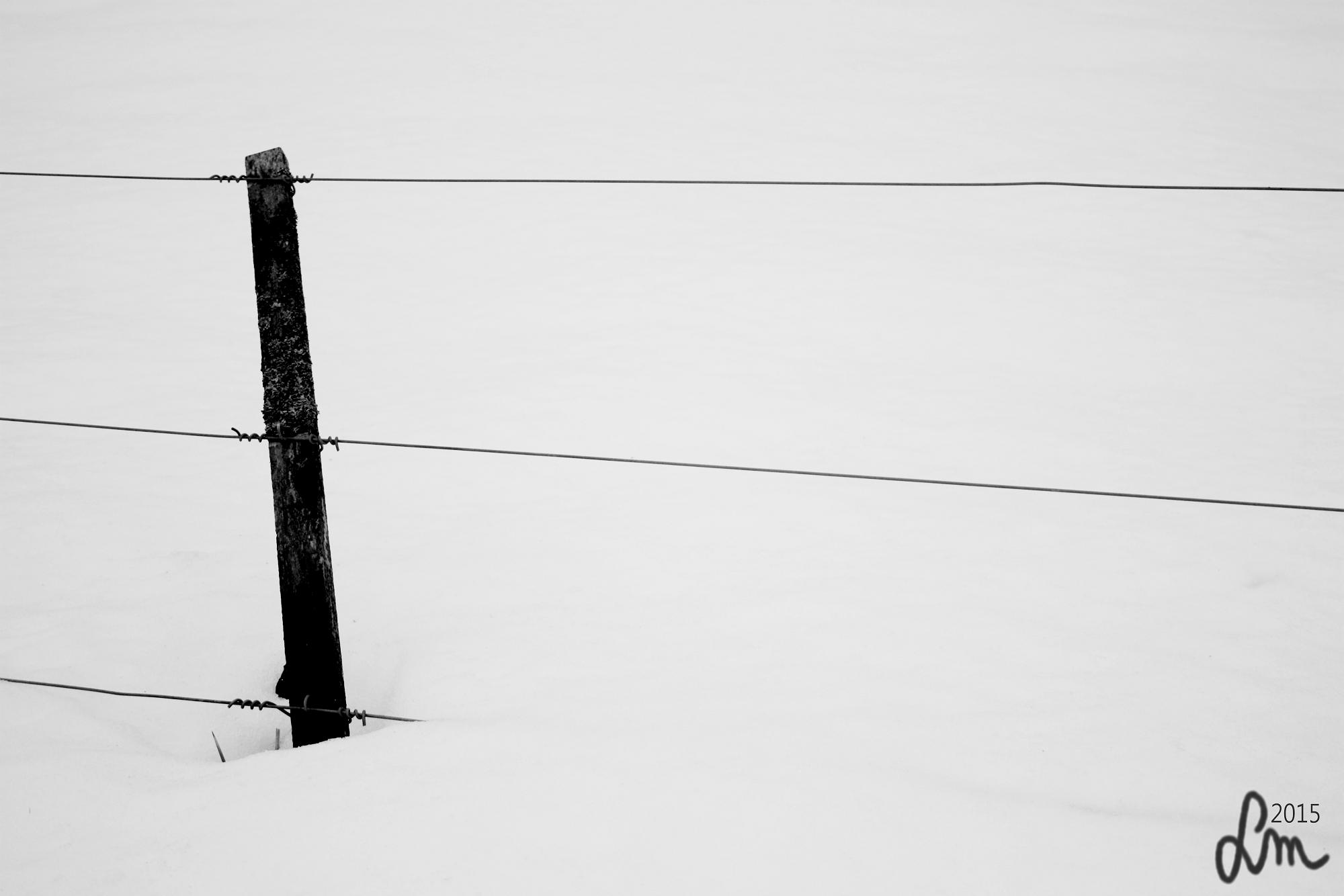 V50_2015_IMG_9160 - Kopia