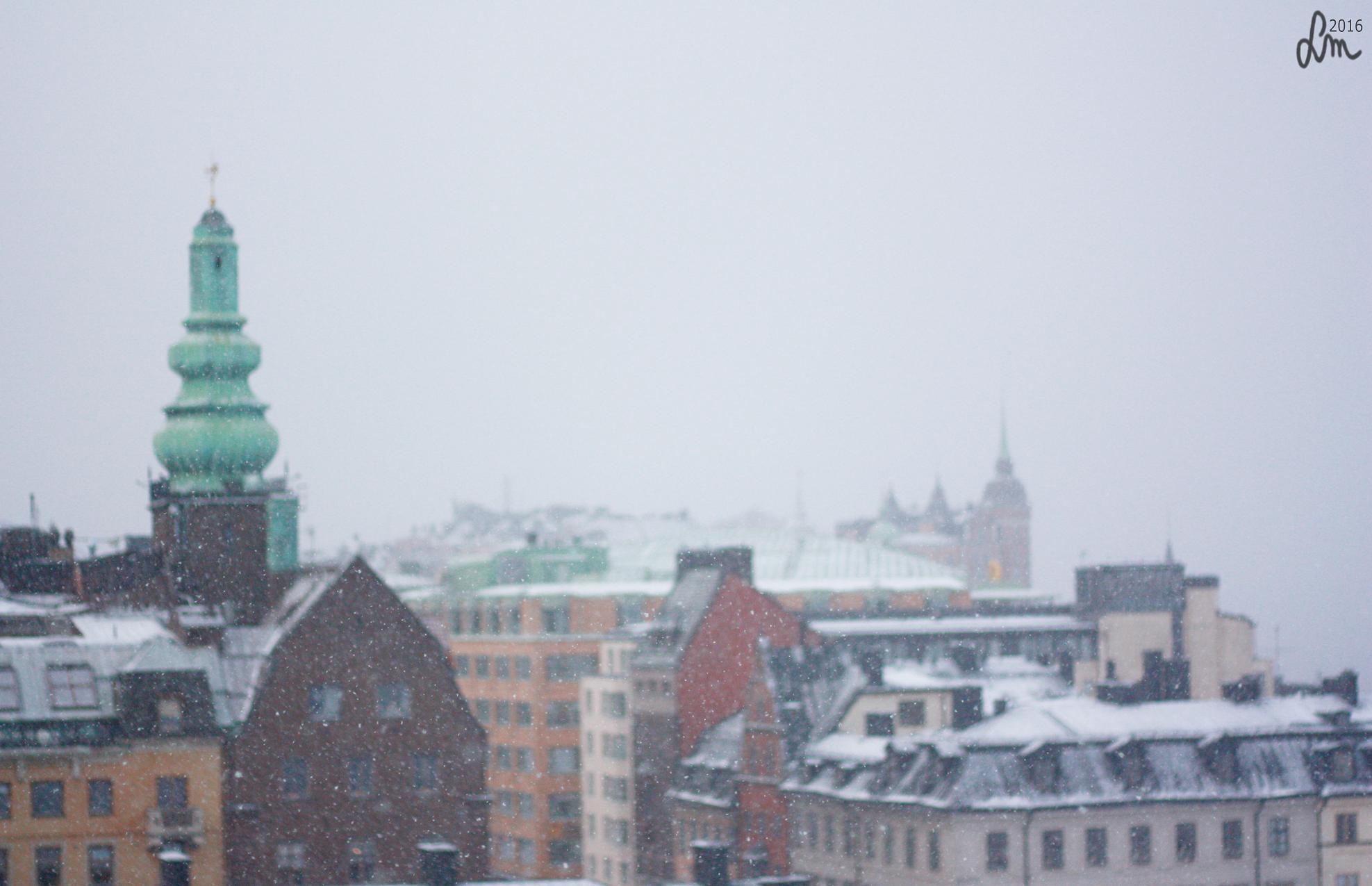 2016_IMG_0447 - Kopia