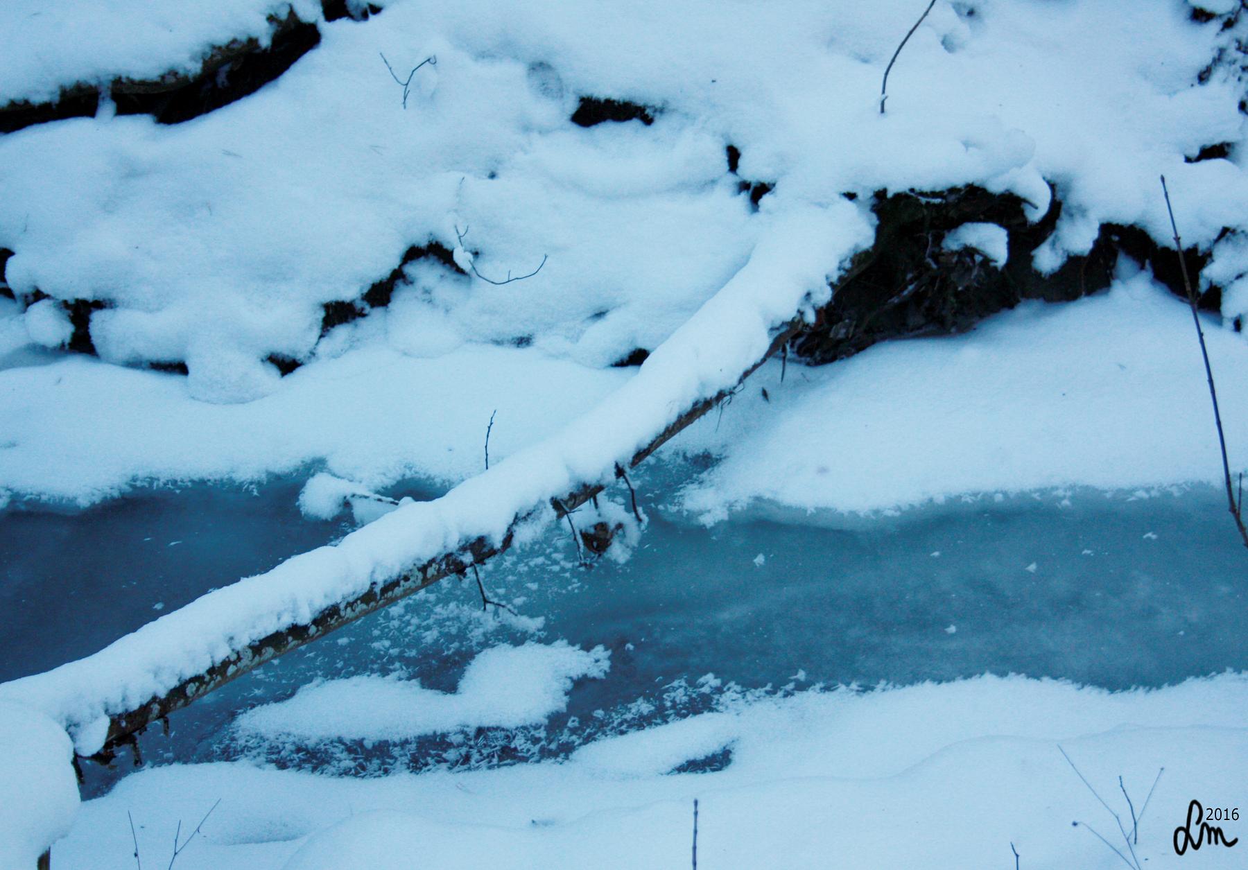 2016_IMG_0758 - Kopia