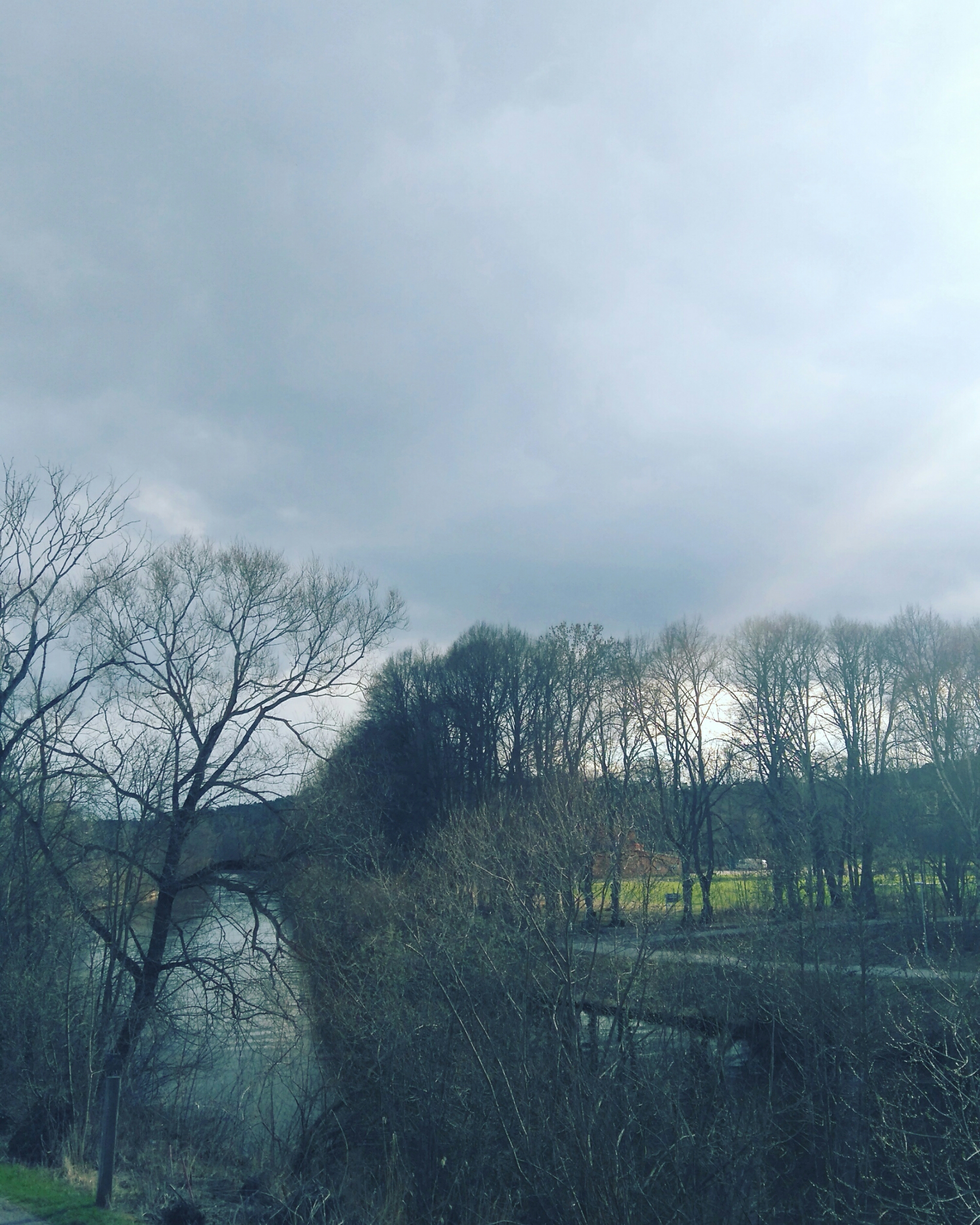 wp-1461002762719 image