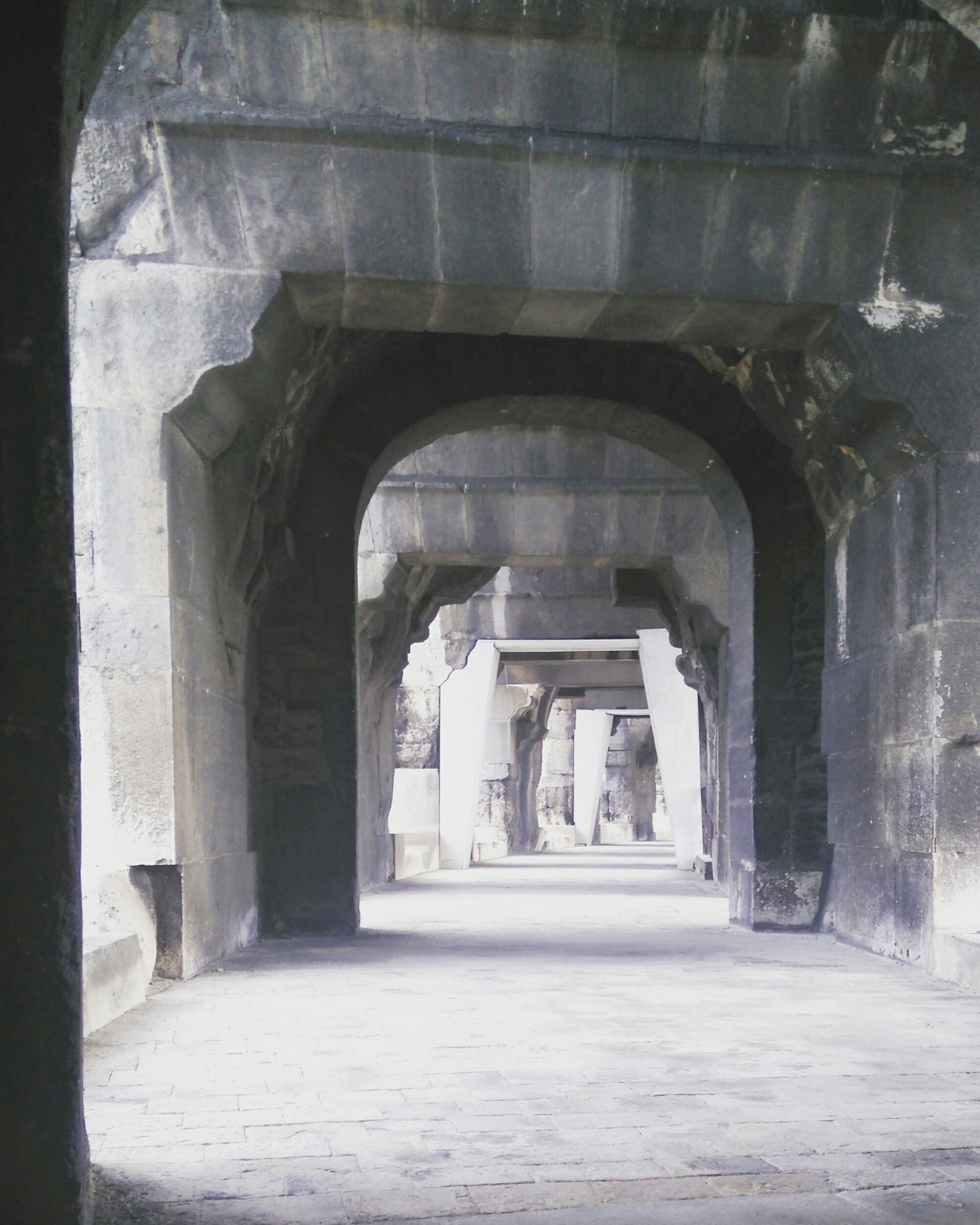 wp-1469293306105 image