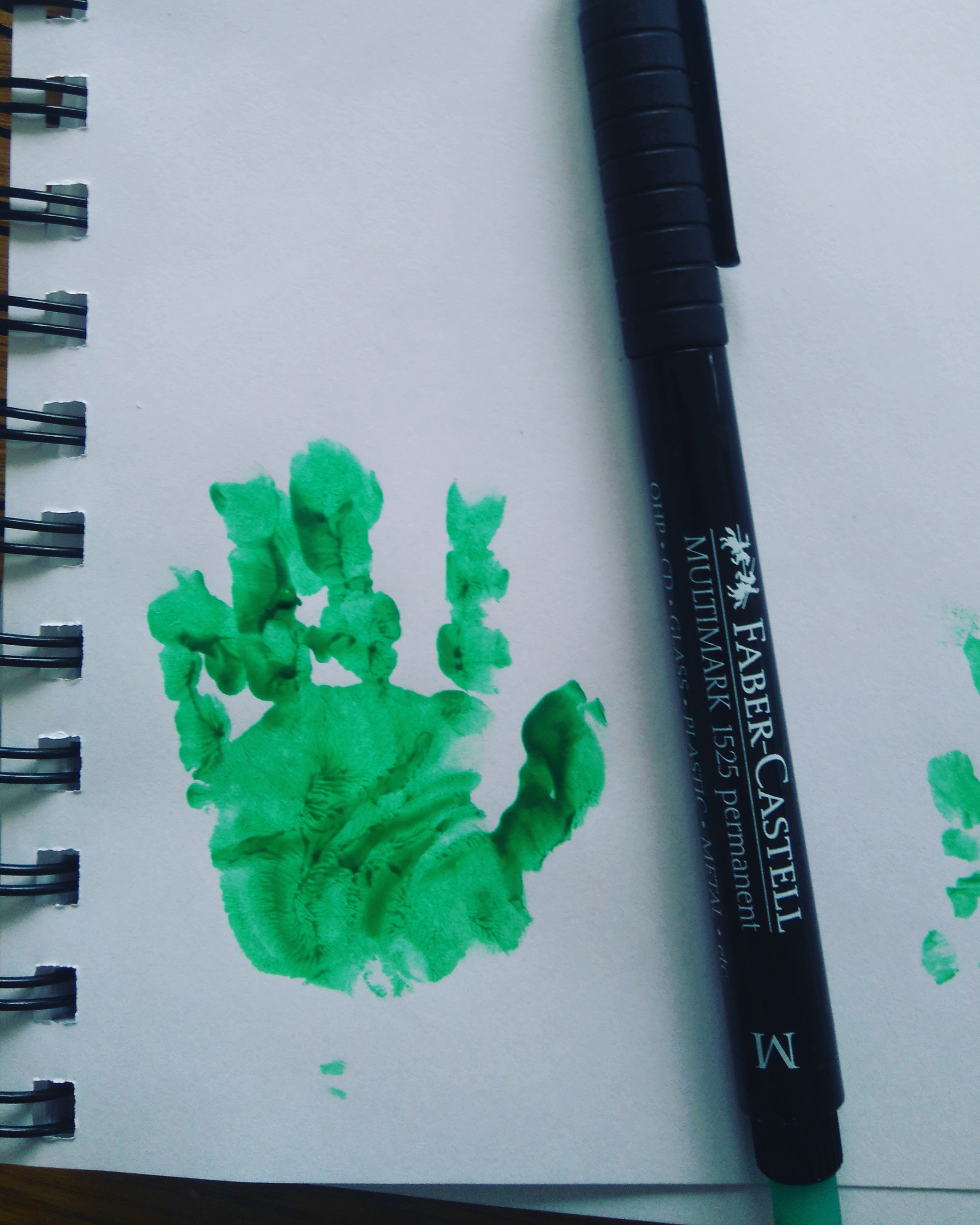 IMG_20170325_111518_573