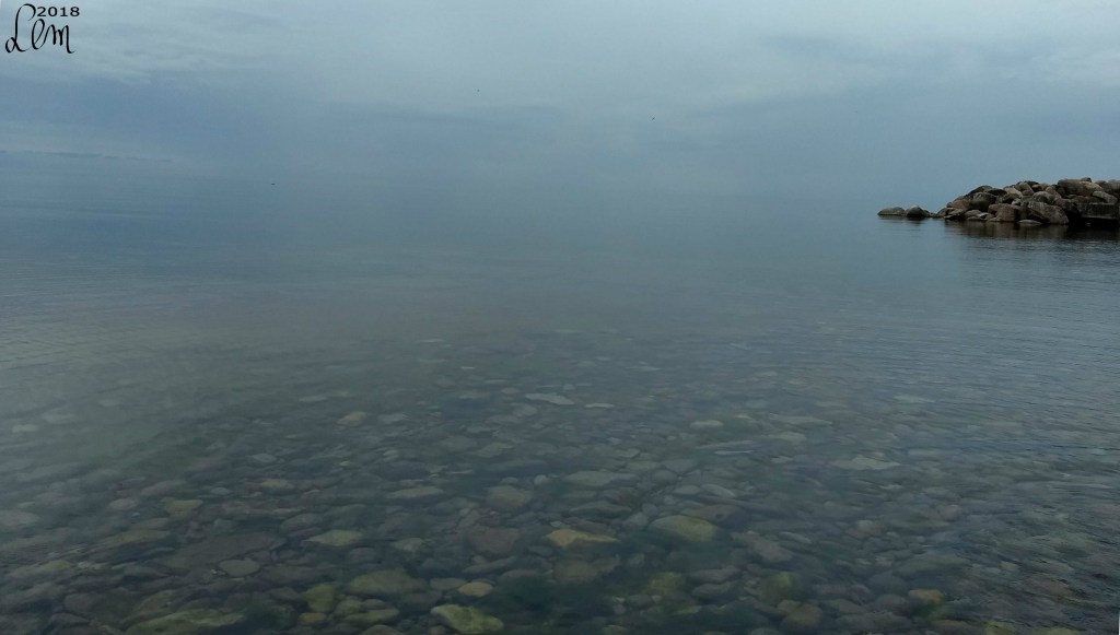 2 weeks done and 1 week&nbsp;left