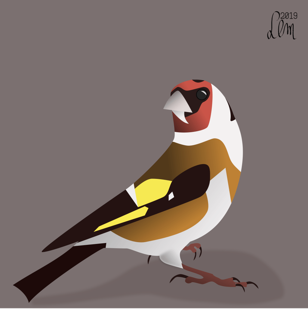 European Goldfinch