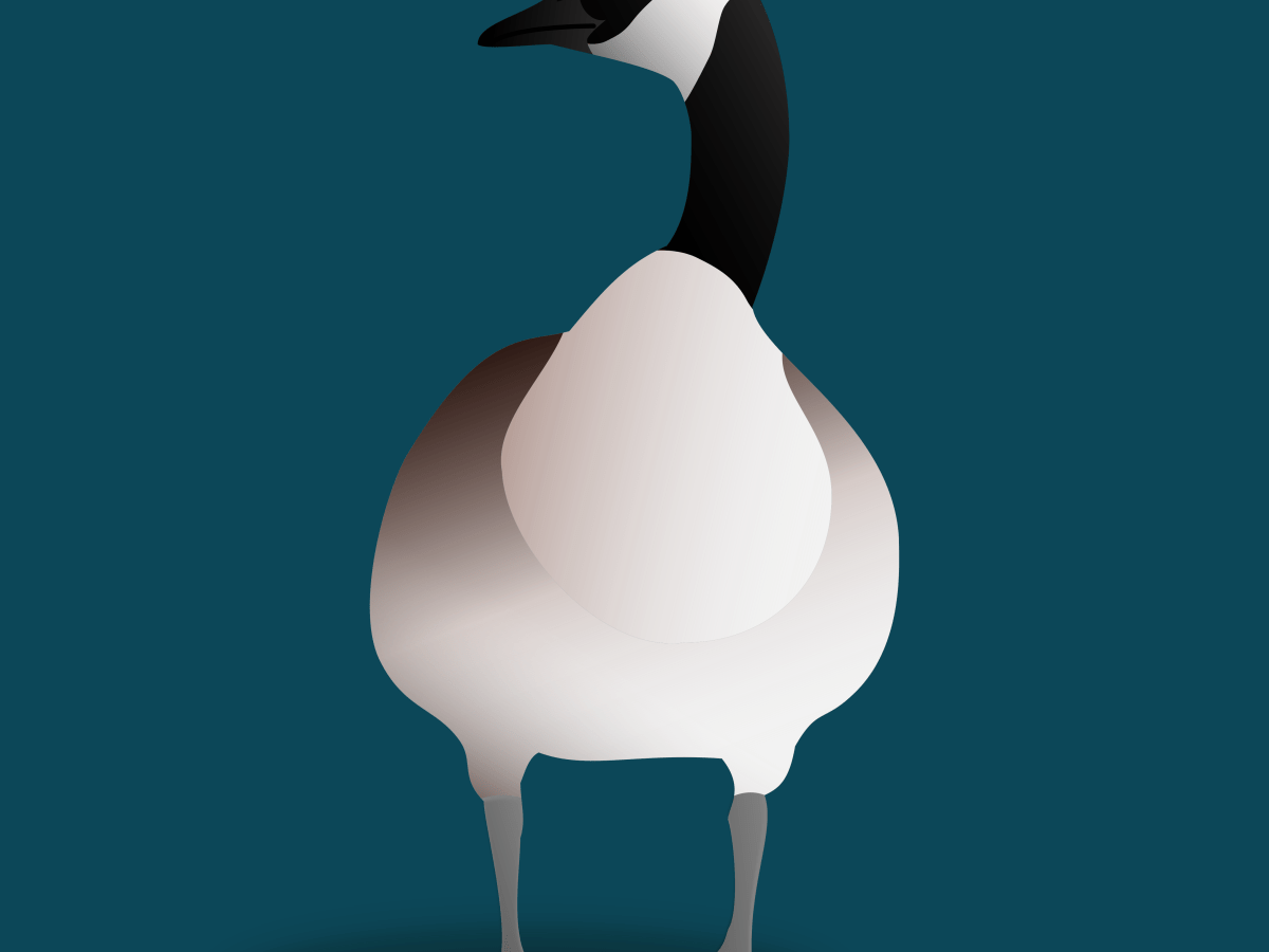 Goose