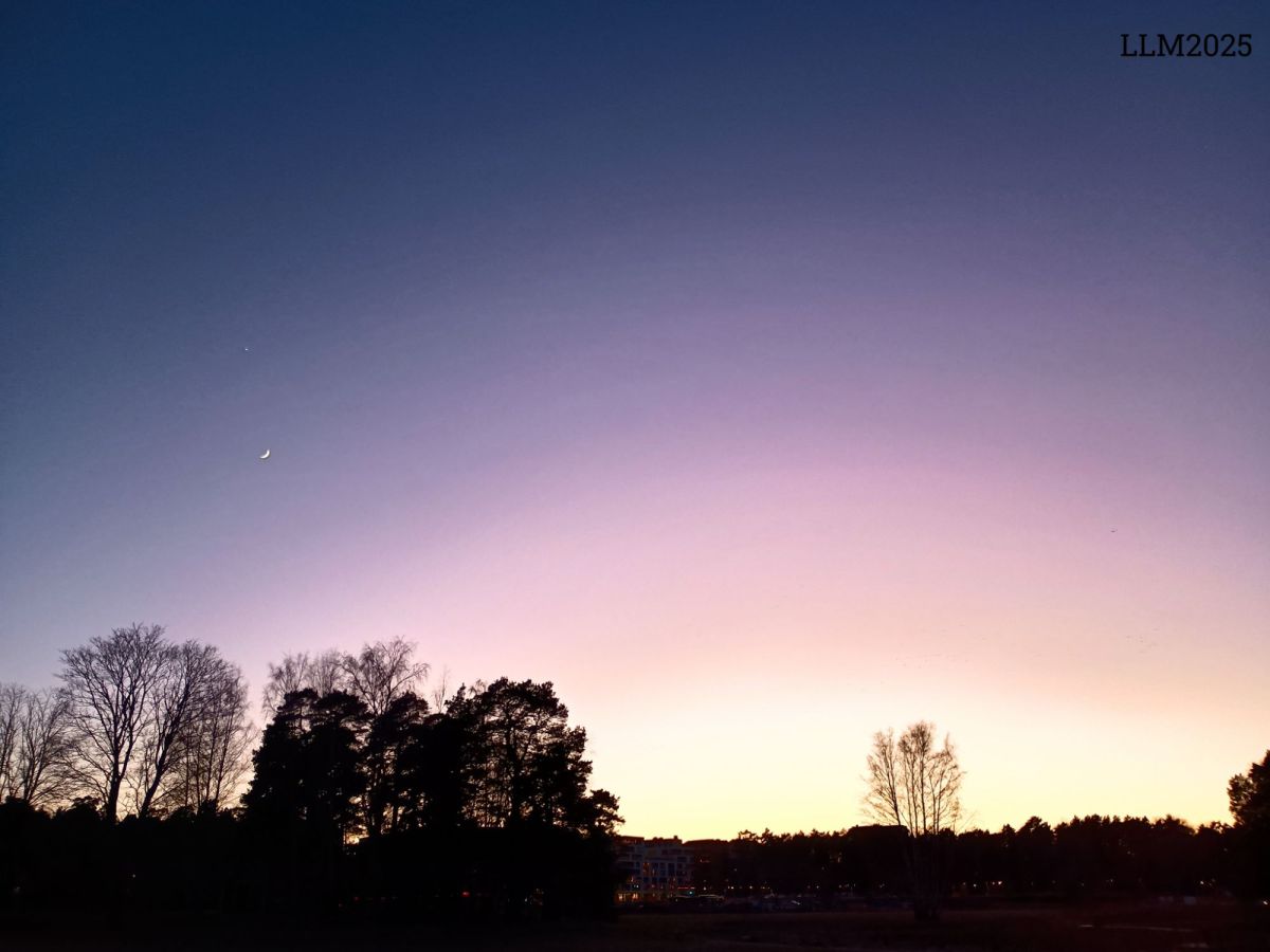 Rosendal’s library